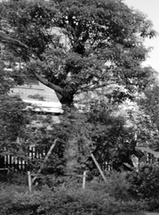 泰州注册公司